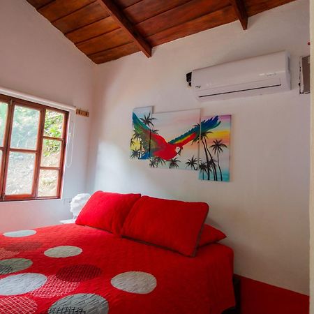 Selva Color - Forest & Beach Ecolodge Quebrada Ganado Oda fotoğraf