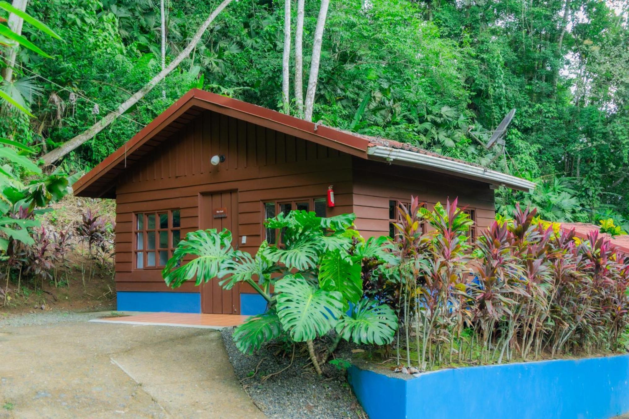 Selva Color - Forest & Beach Ecolodge Quebrada Ganado Dış mekan fotoğraf