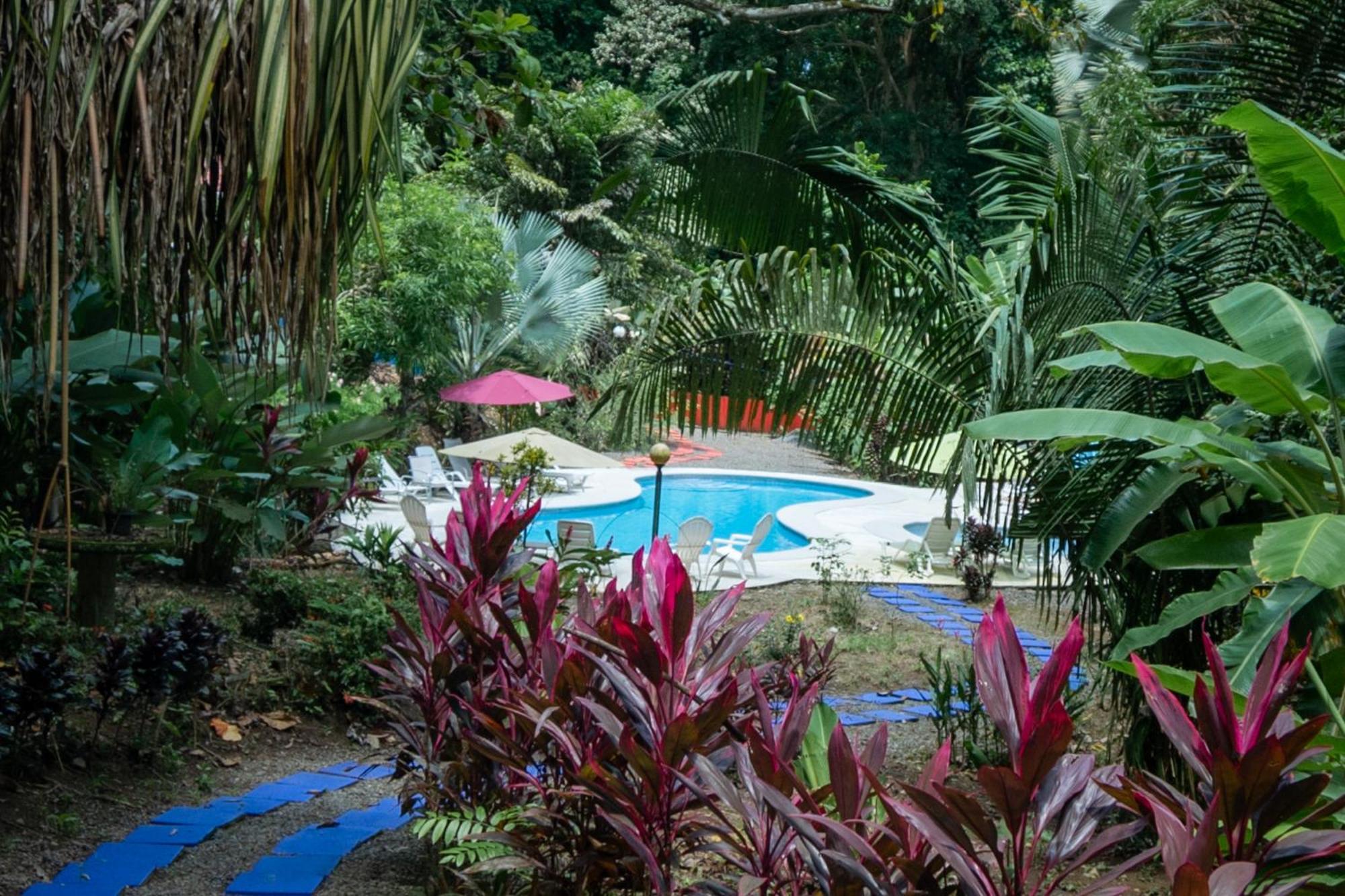 Selva Color - Forest & Beach Ecolodge Quebrada Ganado Dış mekan fotoğraf