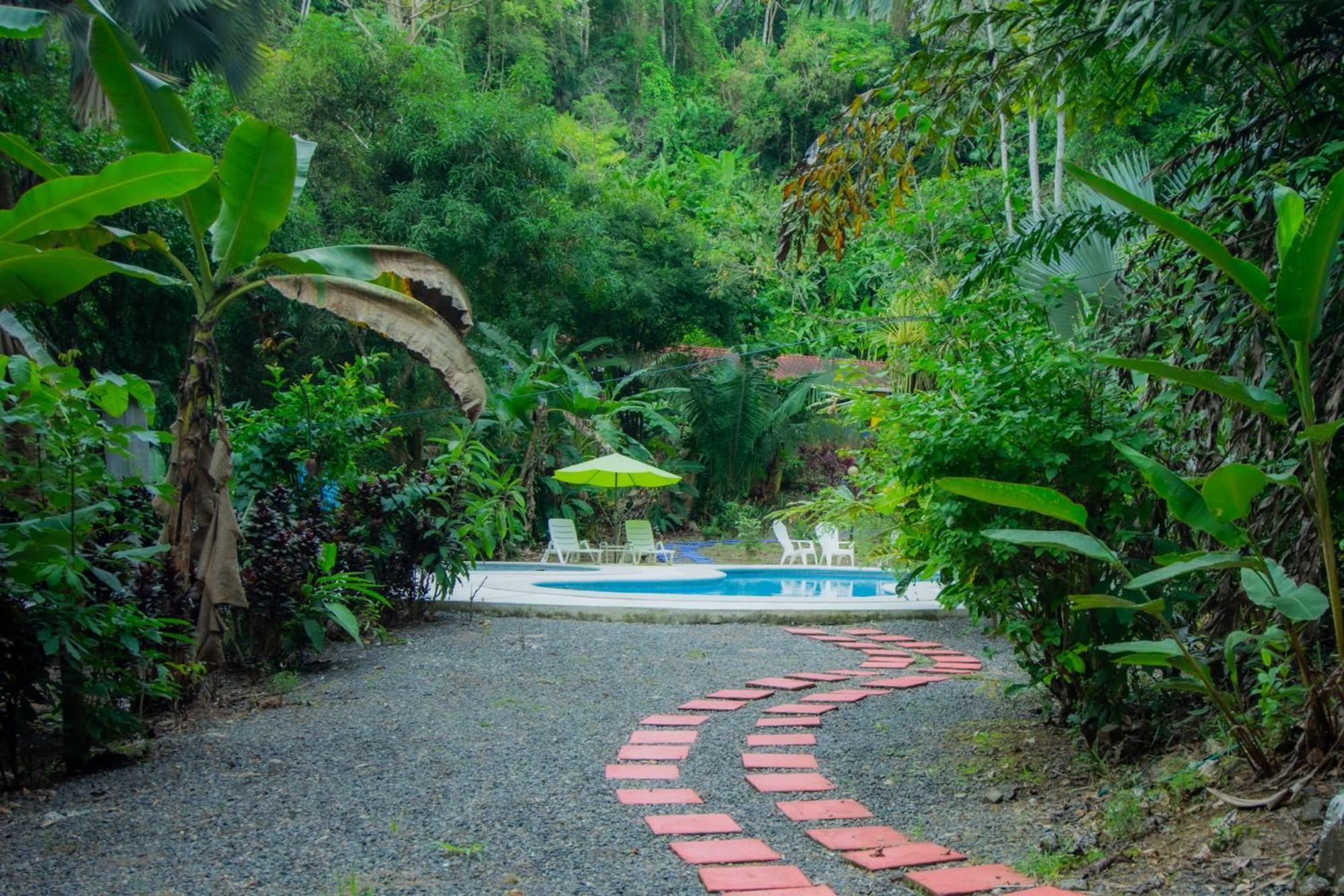 Selva Color - Forest & Beach Ecolodge Quebrada Ganado Dış mekan fotoğraf