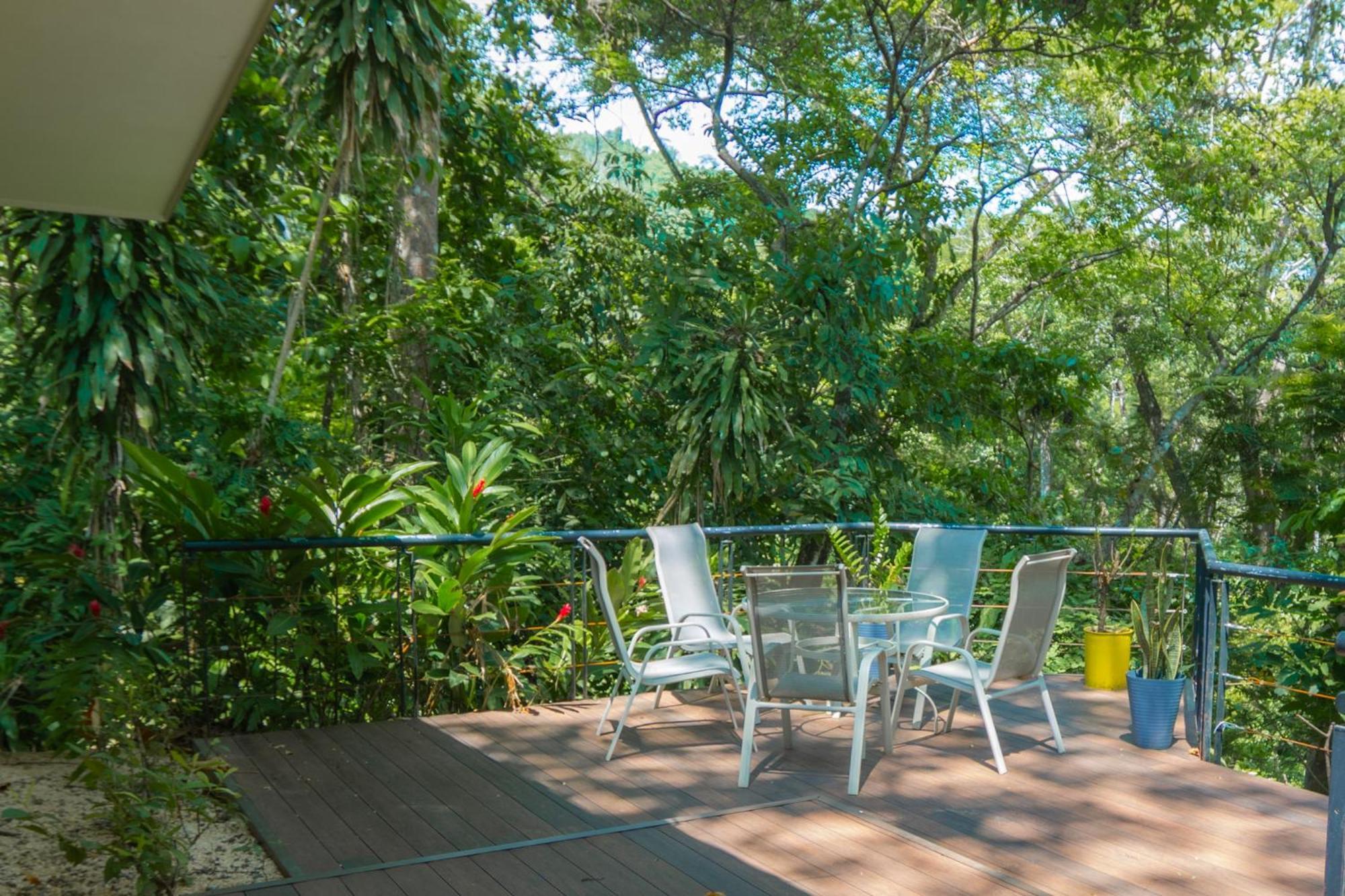 Selva Color - Forest & Beach Ecolodge Quebrada Ganado Oda fotoğraf
