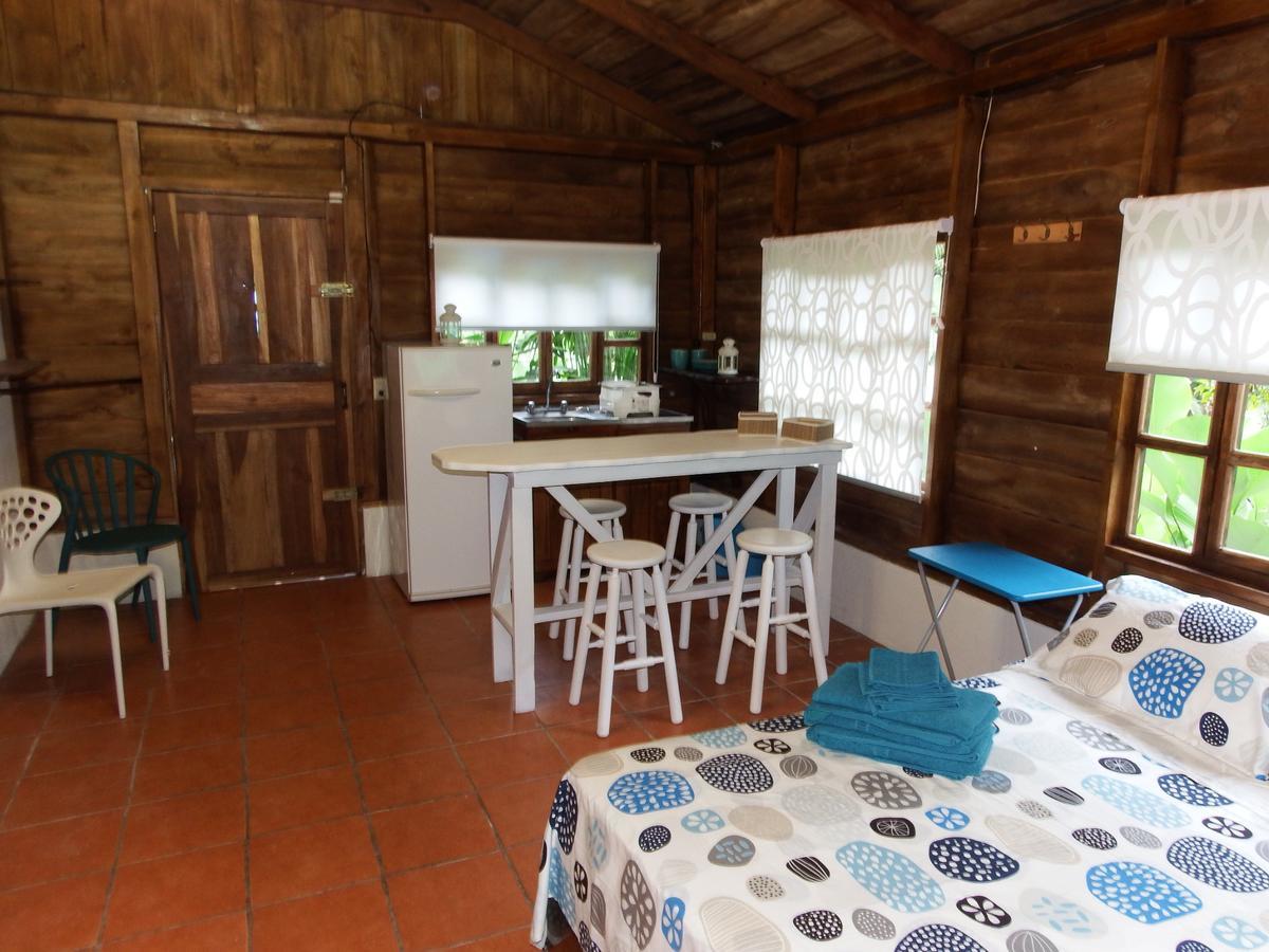 Selva Color - Forest & Beach Ecolodge Quebrada Ganado Dış mekan fotoğraf