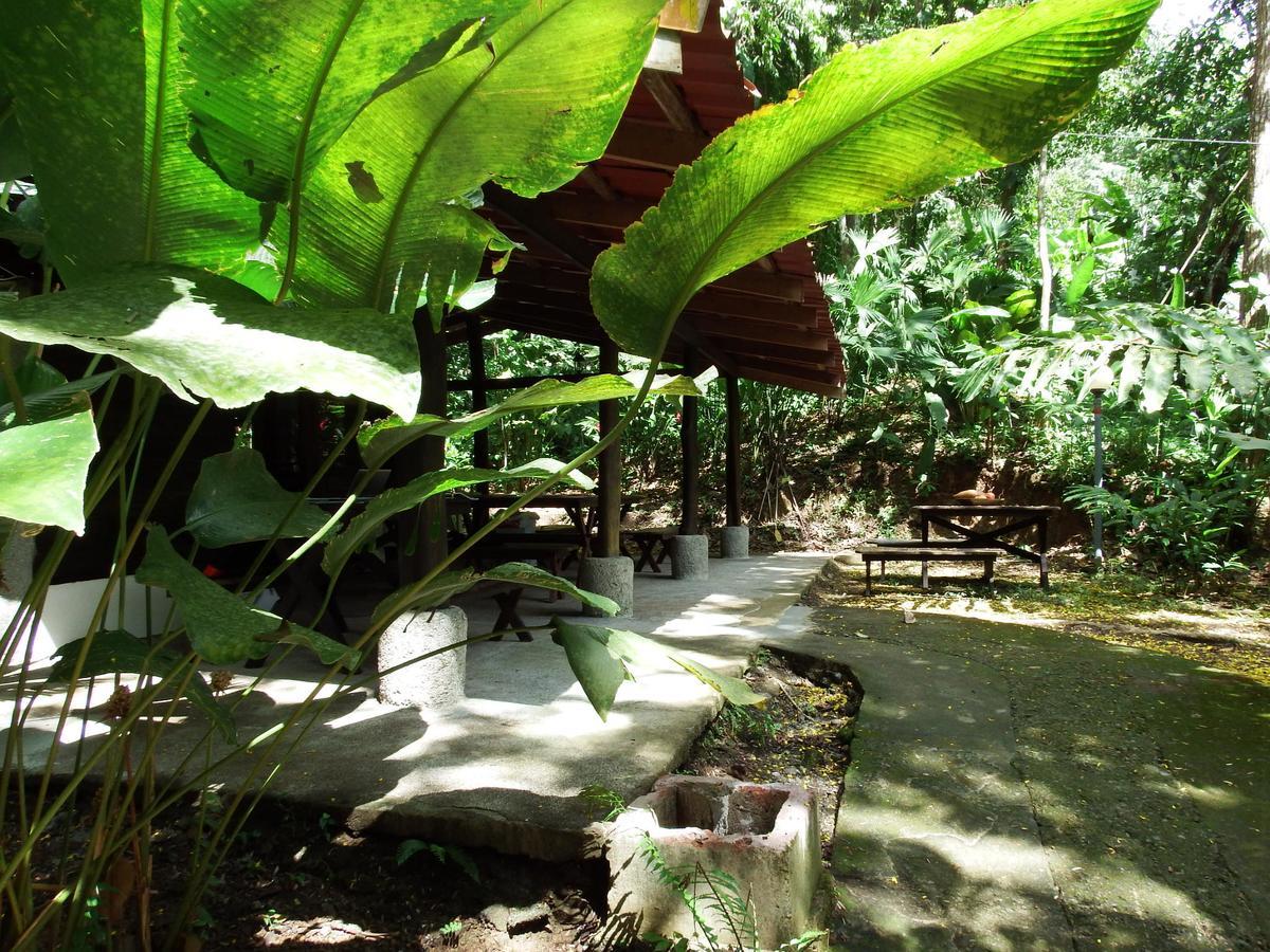 Selva Color - Forest & Beach Ecolodge Quebrada Ganado Dış mekan fotoğraf