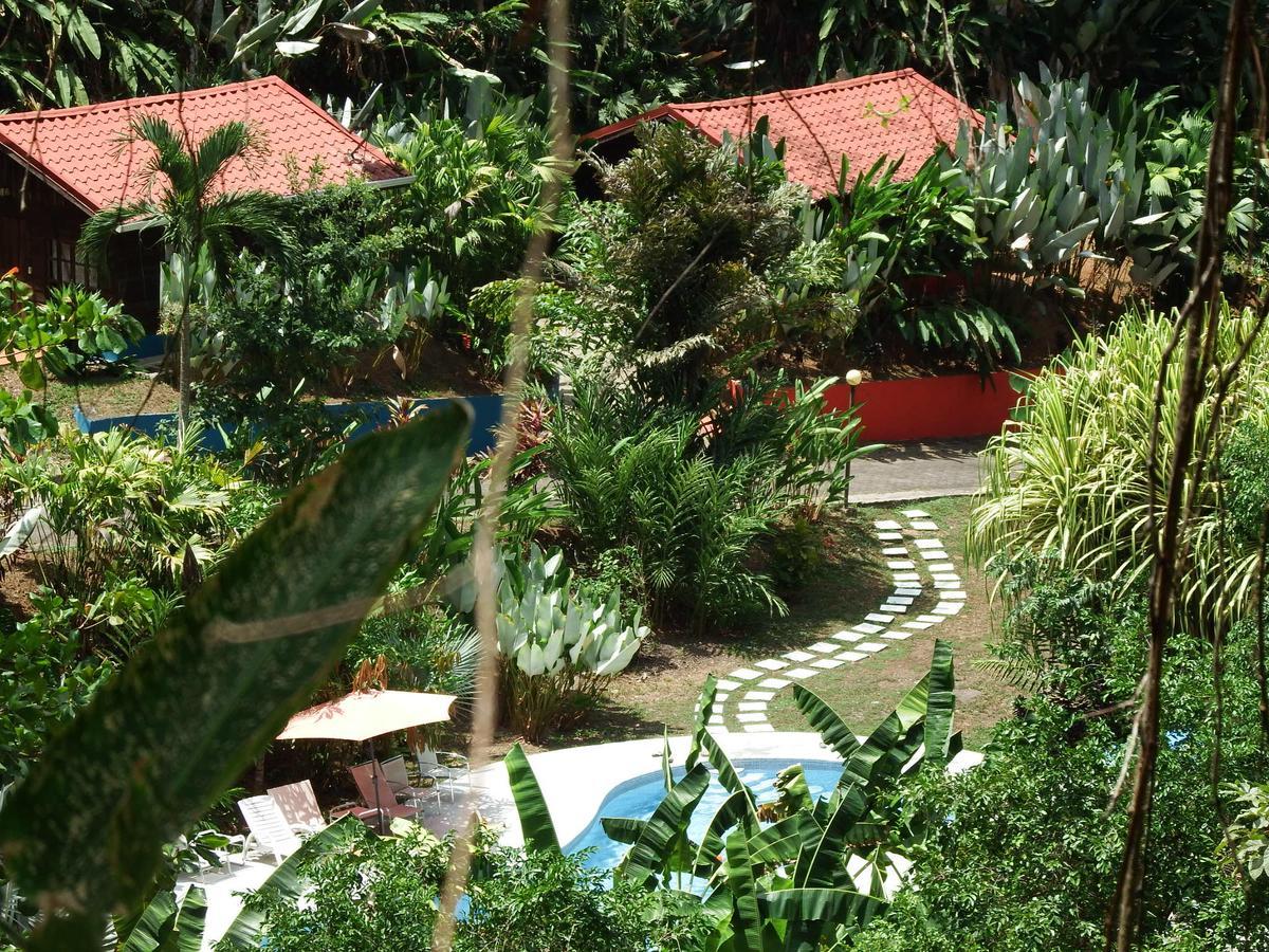 Selva Color - Forest & Beach Ecolodge Quebrada Ganado Dış mekan fotoğraf