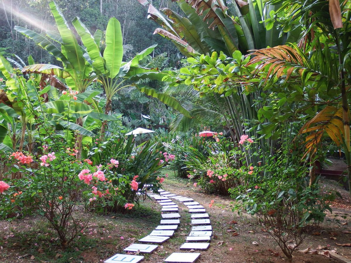 Selva Color - Forest & Beach Ecolodge Quebrada Ganado Dış mekan fotoğraf
