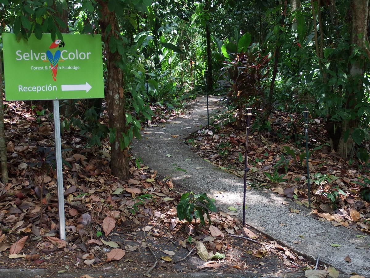 Selva Color - Forest & Beach Ecolodge Quebrada Ganado Dış mekan fotoğraf