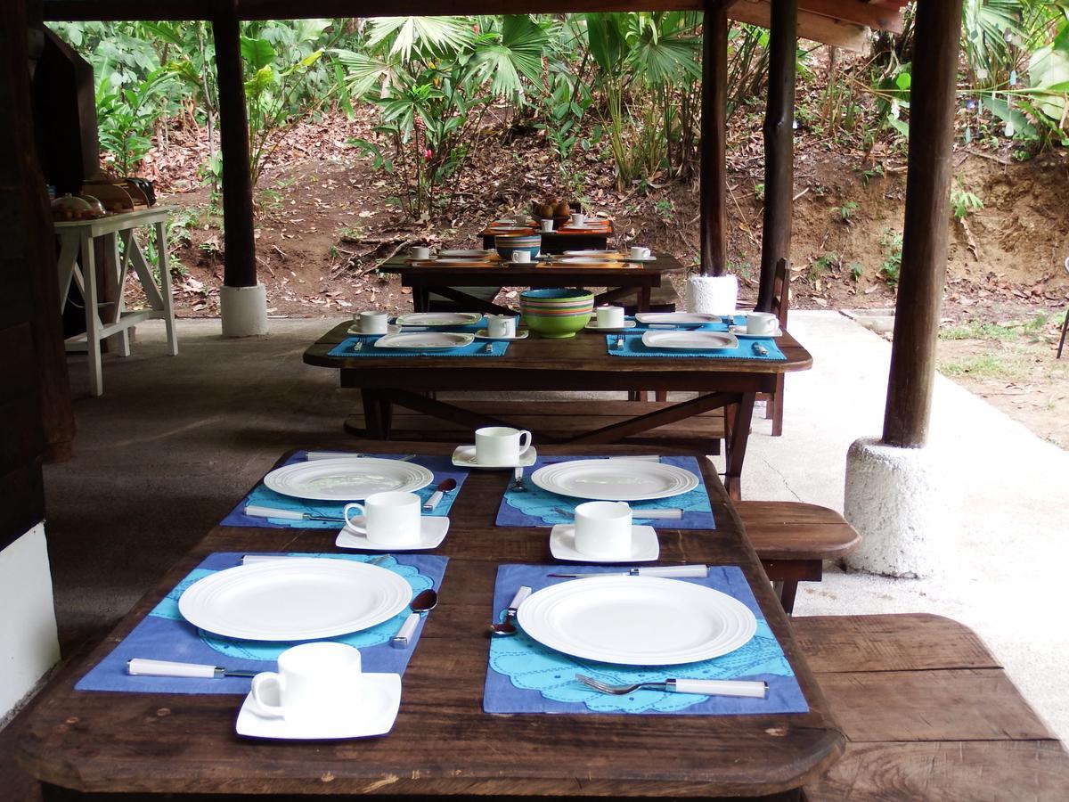 Selva Color - Forest & Beach Ecolodge Quebrada Ganado Dış mekan fotoğraf